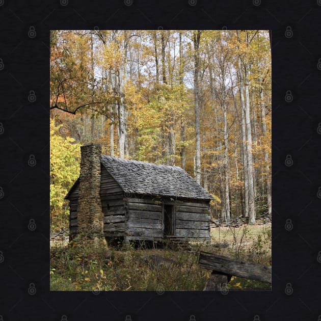 Smoky Mountain Rural Rustic Cabin Autumn View by Gsallicat